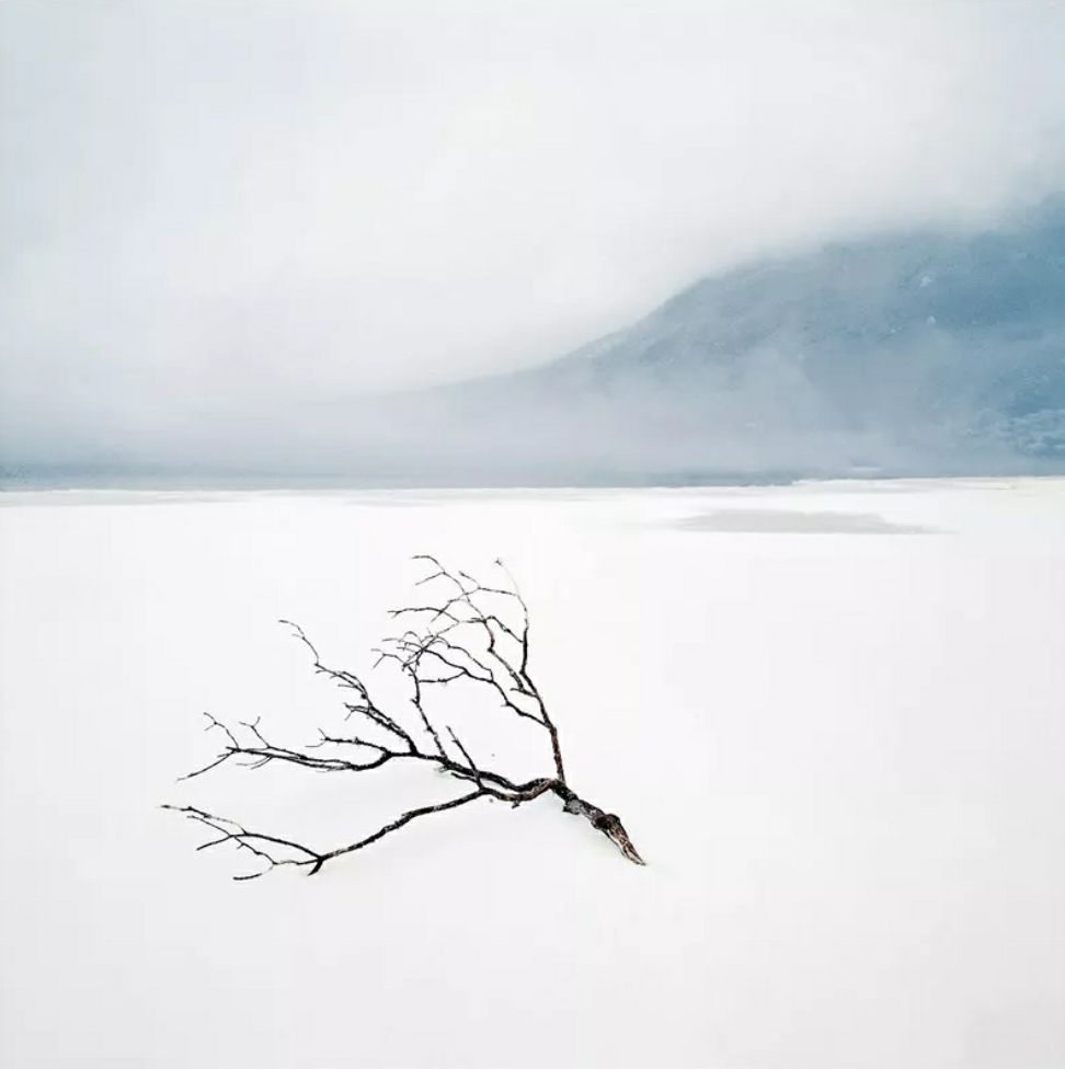 qq_pic_merged_1540911280756