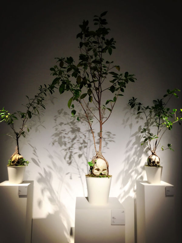 21位藝術家打造“假園” 春天一起去游園