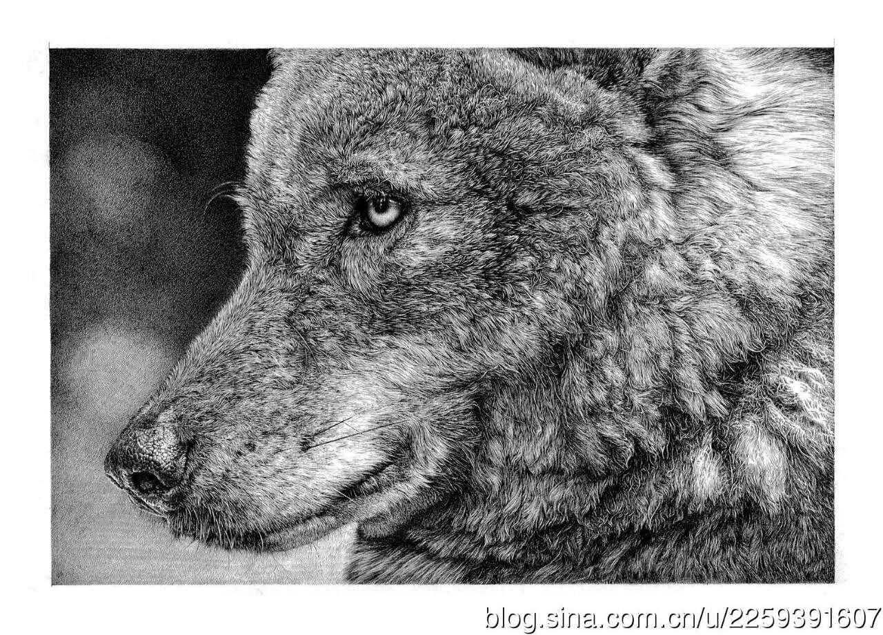 mmexport1476000797725