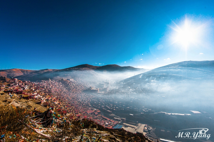 “春---視圖網春季作品征集大賽”優秀作品賞析（一）