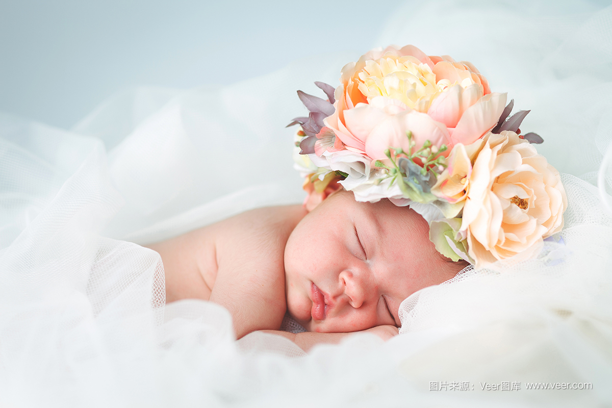 Veer開啟版權圖片訂閱模式,低至3元/張!